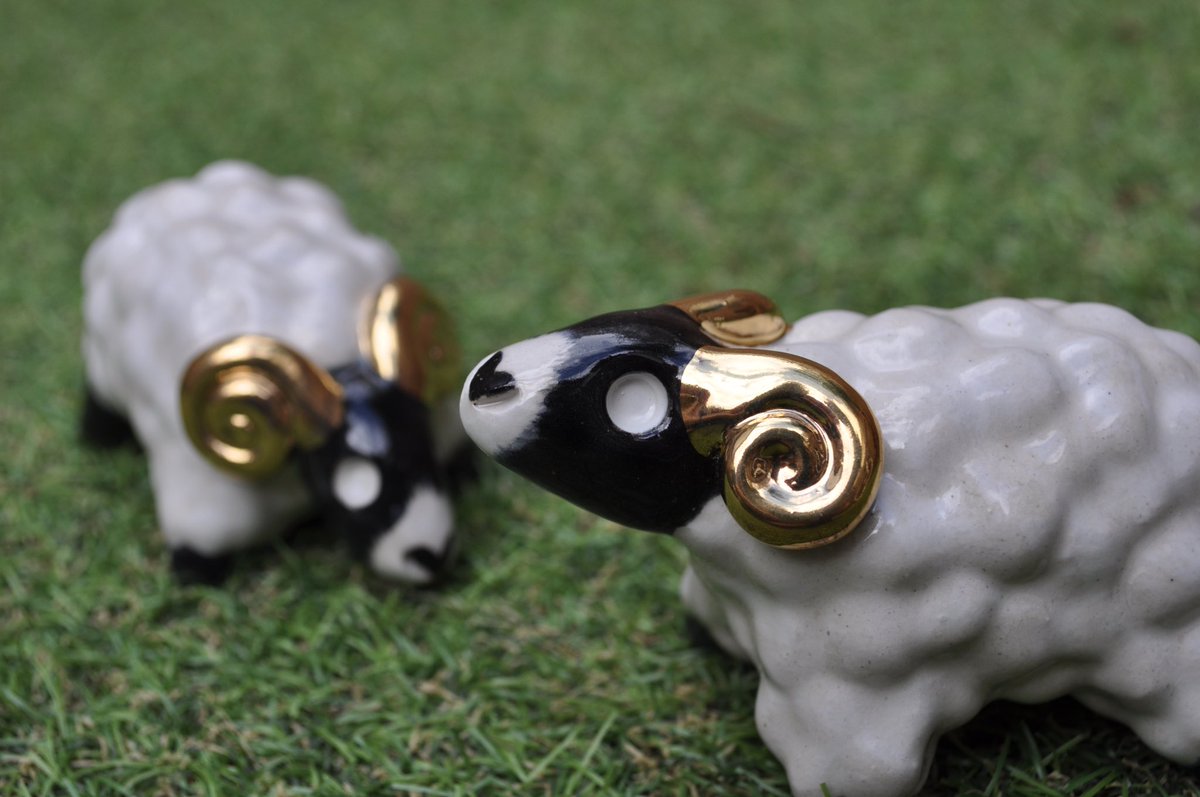 sunter_studio's tweet photo. Aww here’s another of my new ceramic Derby Rams because look how cute they are!! @artsderbyshire @MarketingDerby @VisitDerby #derby #derbyshire #madeinderby #derbyrams 🐏 https://t.co/5qUSrklvIg