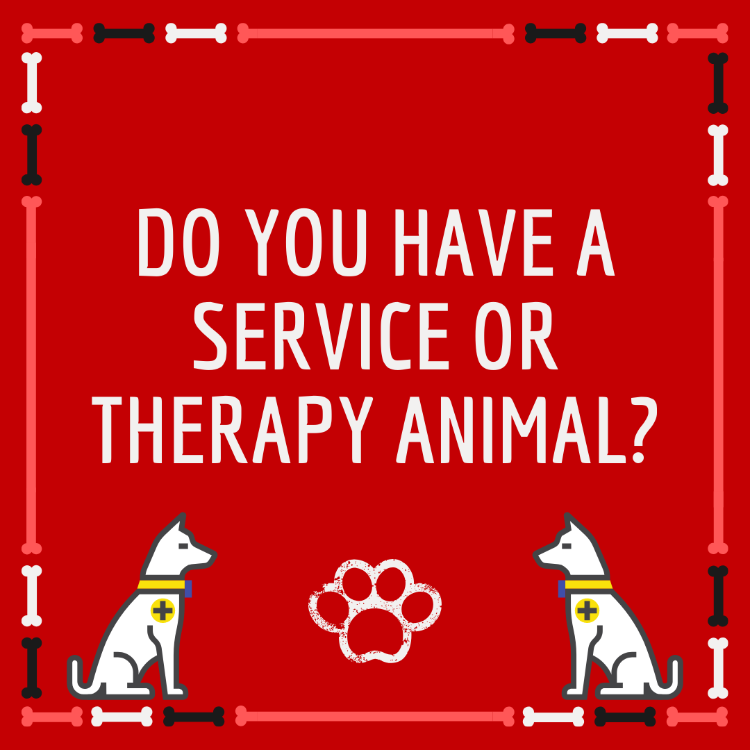 SOOVPR's tweet photo. The VPR lets First Responders know about your service animal and specific needs before attending your residence during an emergency.
@SaultFire
@SaultPolice
@CitySSM
#soovpr
#vulnerablepersonsRegistry https://t.co/aXb4OoTkw7
