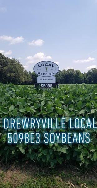 RevereSeed's tweet photo. #CropCheck
"Local Seed Co. LS5098E3 Soybeans in Drewryville, VA today. The grower told me how tall they were but didn't believe it till I saw them. Planted May 12th and no decent rain in a few weeks!" - Local Seedsman James Rogers
#localseedco #PlantLocal #GrowLocal #Beans #LSC https://t.co/SGFnzSJBPK