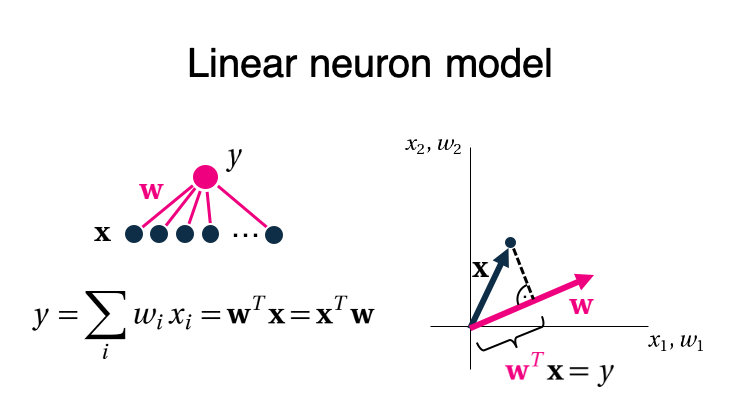 Assume a simple model where the firing rate of a neuron y is given as a weighted sum of its inputs 'x'. This is equal to the scalar product between a weight vector w and a multivariate data point 'x'. (2/6)
