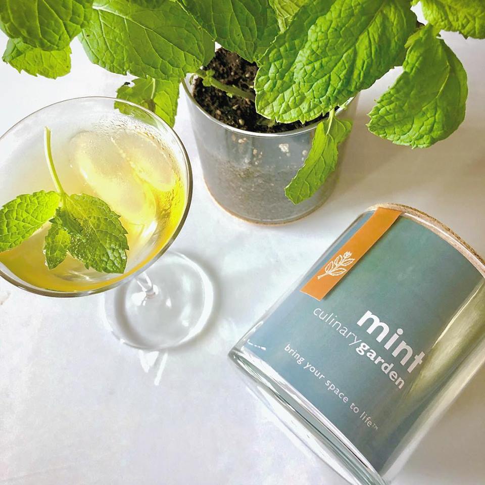 P_S_Creations's tweet photo. Adding fresh herbs to all our summer favorites! #gardening #herbalife #summer https://t.co/RK32IEEFpy