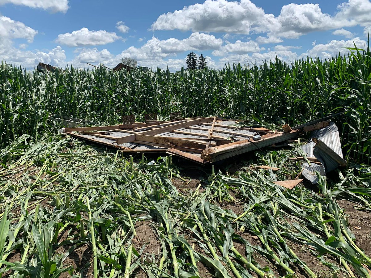 Here are a few more pictures from the damaged shed.

The first show is an up-close picture of the southern half of the shed which was thrown 20-50m away from the original location. 

The third picture shows a shed wall which was also thrown into a different location of the field.