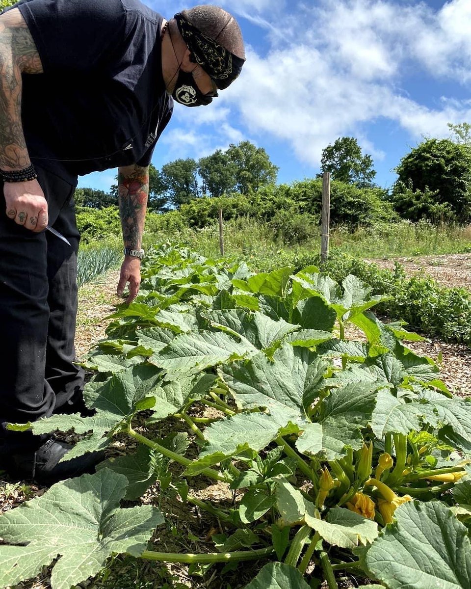 Something is growing over at <a href="/NewportVines/">Newport Vineyards</a>! 🌱 This <a href="/DscvrNewport/">Discover Newport</a> favorite has added their own Estate Grown Garden – furthering the commitment to their farm-to-table philosophy. Learn more about them here: bit.ly/2Bkopgy

📍: Newport, Rhode Island