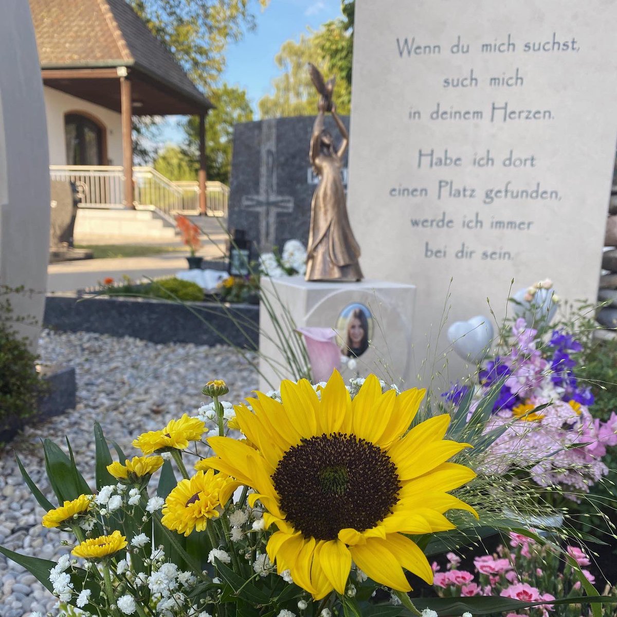 Phil Laude tweet media