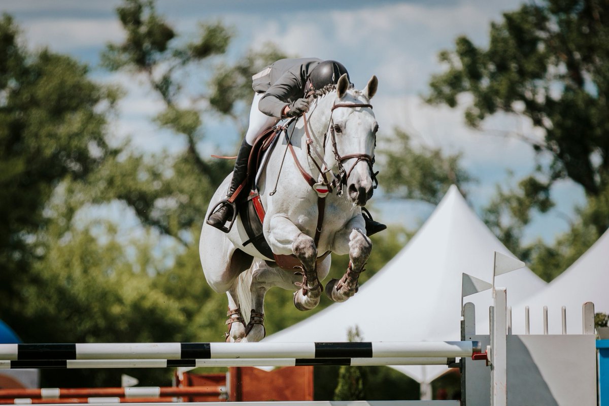 Reach new heights with Equilab in your pocket 🙌🏼🧡