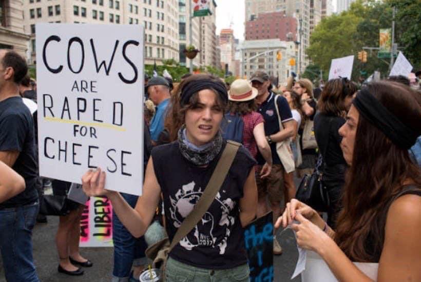 Titania McGrath tweet media