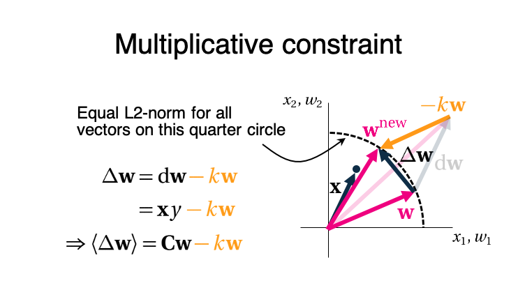 In order prevent unlimited growth, we subtract a multiple 'k' of the weight vector, such that the squared sum (L2-norm) of the synaptic weights remains constant. Observe that the new weight vector now is much closer to the presented data-point 'x'. (4/6)