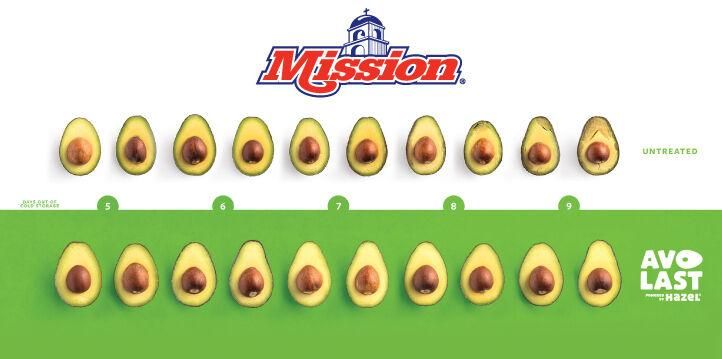 HazelTechUSA's tweet photo. Hazel Tech and @MissionAvocados are extending Avocado shelf-life by THREE DAYS with exclusive post-harvest technology, AvoLast Powered by Hazel® 🥑
Details on our sustainable solution at the link below!
https://t.co/vwByMaEcF6
#agtech #sustainability #hazeltech #missionproduce https://t.co/iRKi0vcdUC