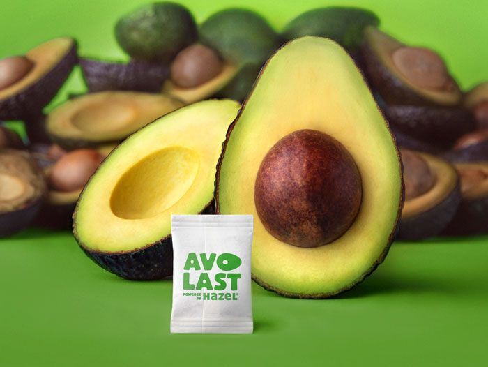 HazelTechUSA's tweet photo. Hazel Tech and @MissionAvocados are extending Avocado shelf-life by THREE DAYS with exclusive post-harvest technology, AvoLast Powered by Hazel® 🥑
Details on our sustainable solution at the link below!
https://t.co/vwByMaEcF6
#agtech #sustainability #hazeltech #missionproduce https://t.co/iRKi0vcdUC