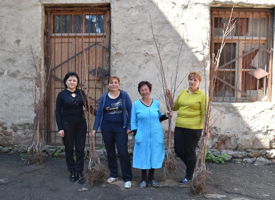 ArmeniaTree's tweet photo. Our thoughts are with our brothers and sisters in the border villages of #Tavush, where military attacks targeting civilians by Azerbaijan have been ongoing for the past few days. #ArmeniaTree https://t.co/R3kdKygy84