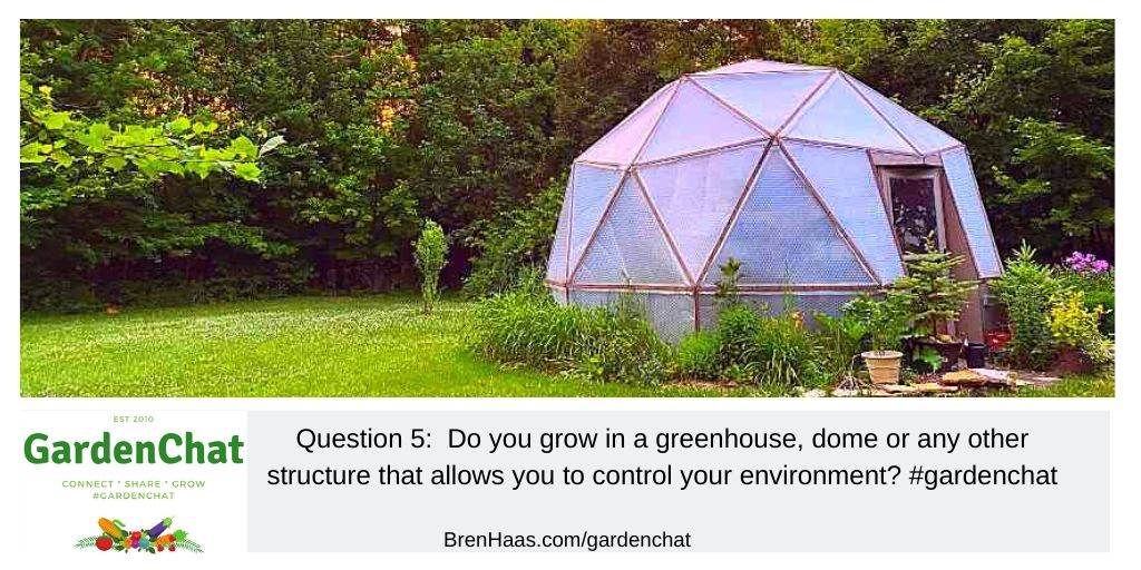 Question 5:  Do you grow in a greenhouse, dome, or any other structure that allows you to control your environment? #gardenchat ( this is the dome @brenhaas )