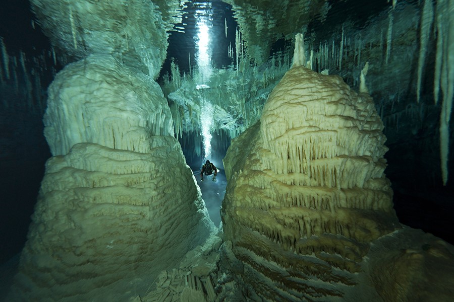 SmithsonianSA's tweet photo. One of the top cave divers working today—and one of the very few women in her field—@JillHeinerth, an underwater explorer, writer, photographer, and filmmaker, joins us Aug. 12 to share her adventures. #SmithsonianStreaming
📷: Jill Heinerth
Register: https://t.co/wWS5H3tDBl https://t.co/MO9QZJ5NUC