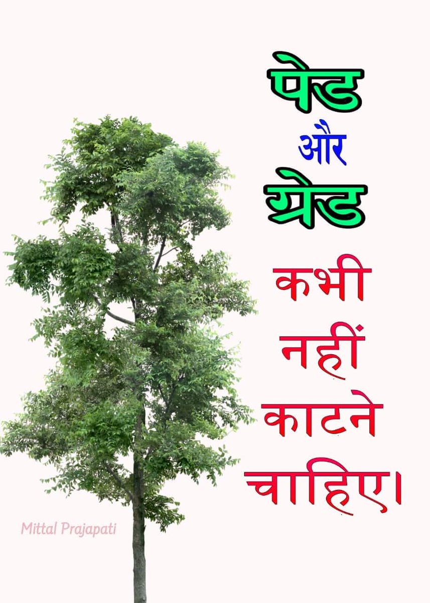 KharadiNavnit's tweet photo. #4200Gujarat https://t.co/uS0VaGD4tY