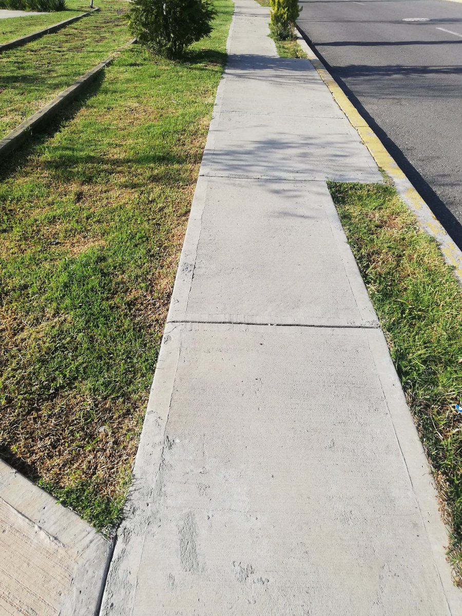 jesseja1mes's tweet photo. Me caigo. Por. Twitear y caminar 😅 #ordapoderosa #poderosoesmipandecadadia https://t.co/V9oF1KJpea