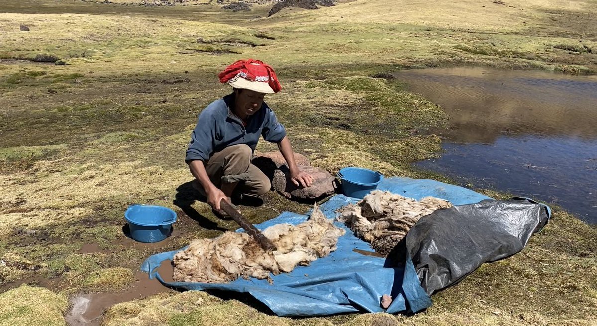 As we approached, we saw wet wool out to dry on a rock, and we realized, he was washing wool. We had a long conversation and recorded it, but you’ll have to wait for it to be edited and for me to launch that project and tell you about it, but.