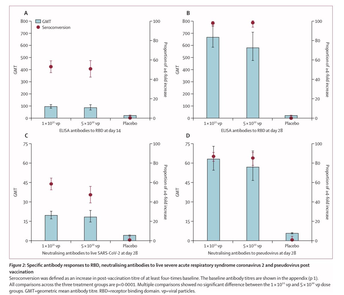 4) In the Wuhan trial, At both 14 and 28 days, both antibodies and neutralizing antibodies much higher than placebo. The half dose (middle dose, however you call it) was almost just as effective as the higher dose. T-cell response similar story.