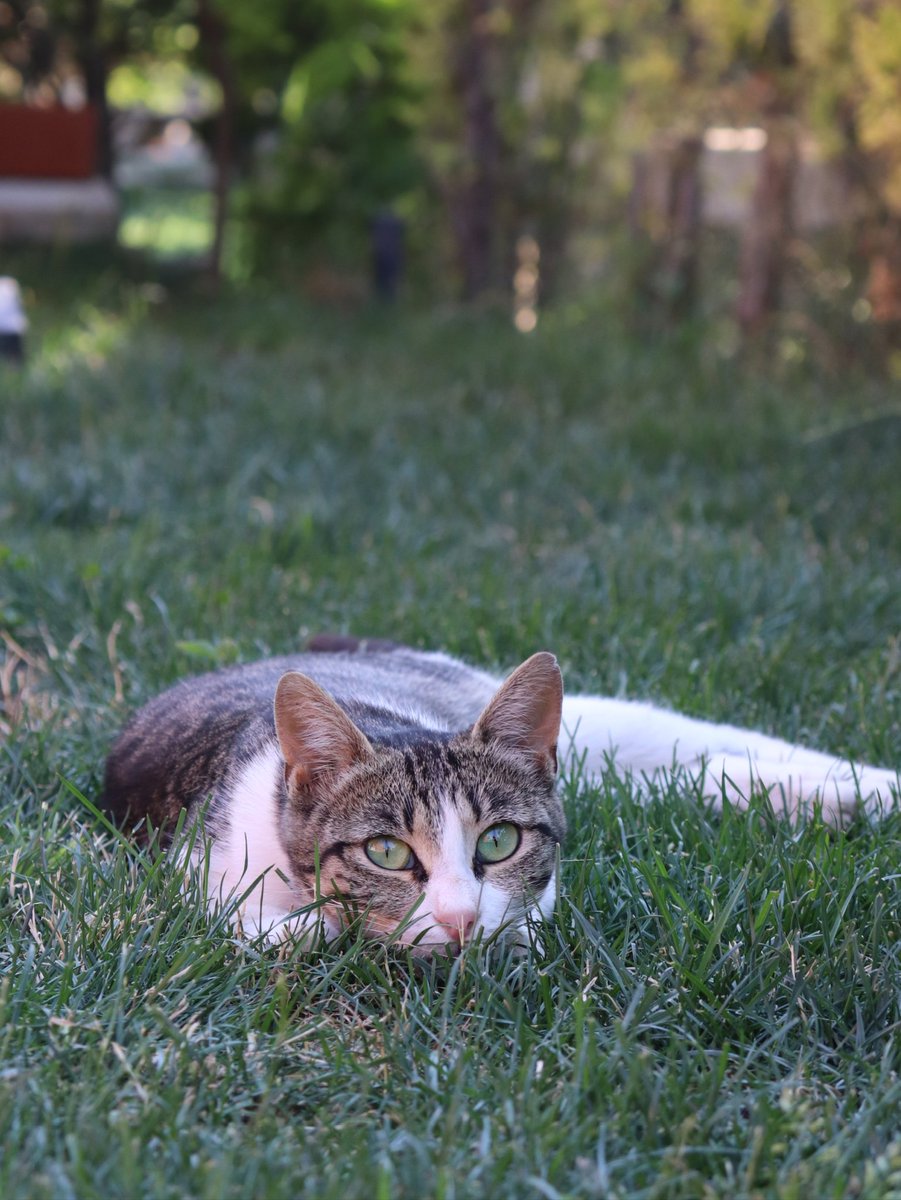 Haydar (@sswumw) on Twitter photo 