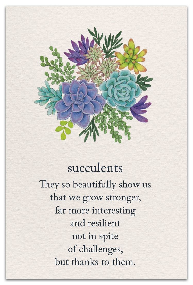 changbin - succulenttaking challenges and beautifully overcoming them in his own way is something i will always try to give him credit for <3