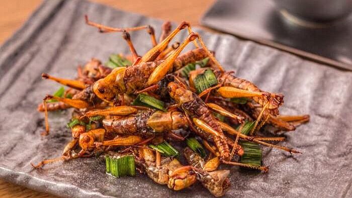 Foodpornmalaysia On Twitter Belalang Kunyit Goreng Https T Co Vjwdnkmu1j Twitter