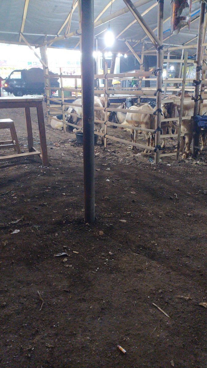 godelher's tweet photo. Kerjaan apaan juga di lakonin. Asal jgn nyolong Ama dagang cimeng aja ! https://t.co/Q8jCK2Sytl