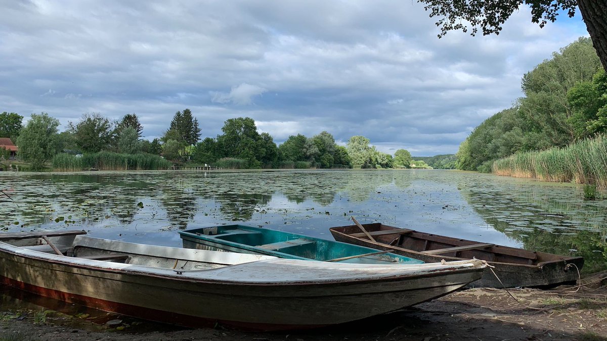 bditengineering's tweet photo. Gentlemen, grab your oars - it's rowing time 🚣‍♂️
#danube #rowing #teamBDIT #teamwork https://t.co/YULKWc1veW