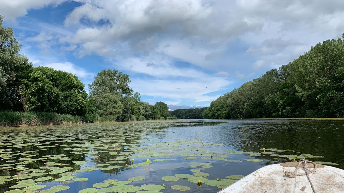 bditengineering's tweet photo. Gentlemen, grab your oars - it's rowing time 🚣‍♂️
#danube #rowing #teamBDIT #teamwork https://t.co/YULKWc1veW
