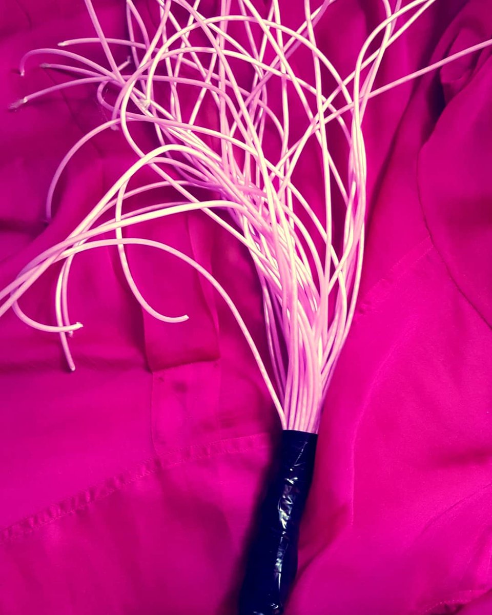 queerpunkpup's tweet photo. Quarantine crafts =^_^= 🌸 First is a snake tail whip (made with a rubber plastic snake) and second is a pink laundry plastic rope flogger. Both are high sting with minimal effort ✌👅#queercraft #queerantine #diykink #diybdsmtools https://t.co/YNksuL3XGY