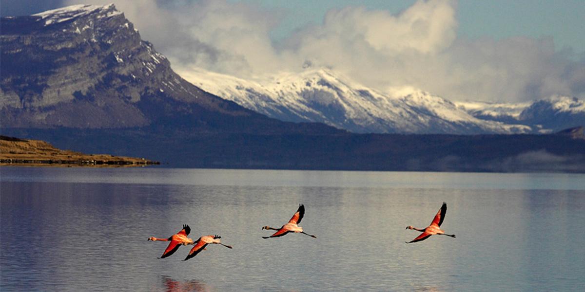 ecotours's tweet photo. We are a winner again!  Check out the Travel and Leisure World's Best Awards for 2020.2020 World's Best Awards https://t.co/nAEkQ4zEpG https://t.co/TRppAe0VtT