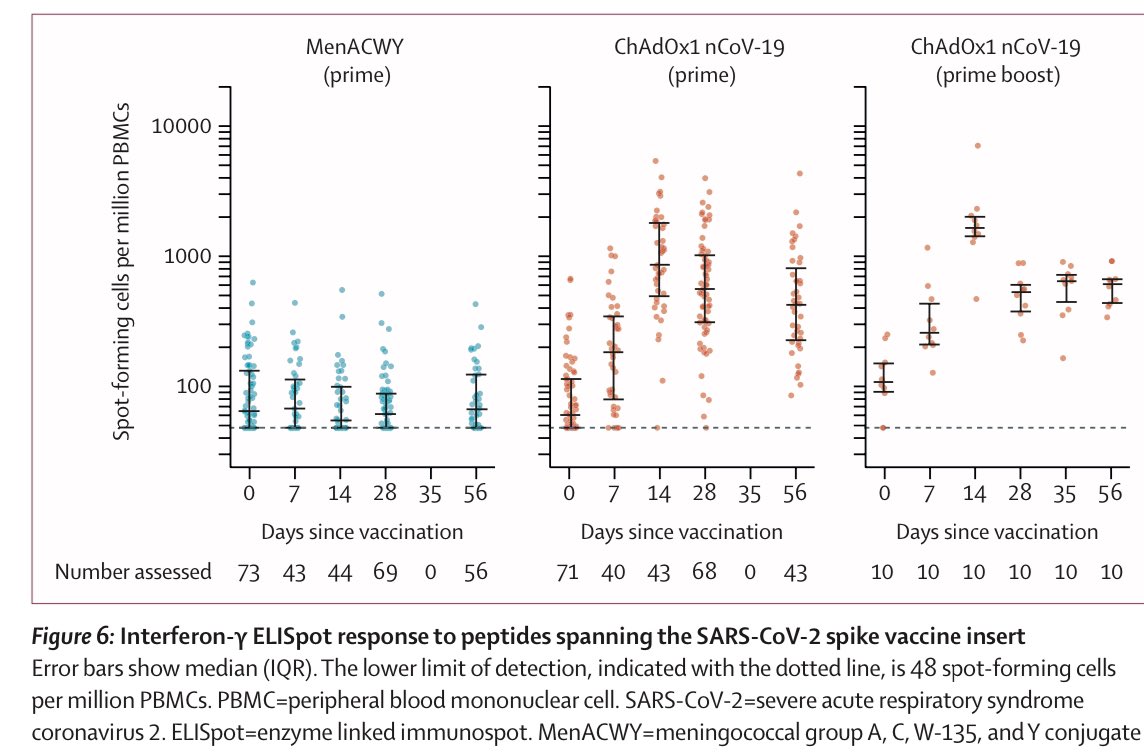 6) Back to the Oxford ChAdOx1 vaccine for  #COVID19, the vaccine and its booster both outperformed versus the control (blue) for both IgG antibodies and in a variety of neutralizing assays.