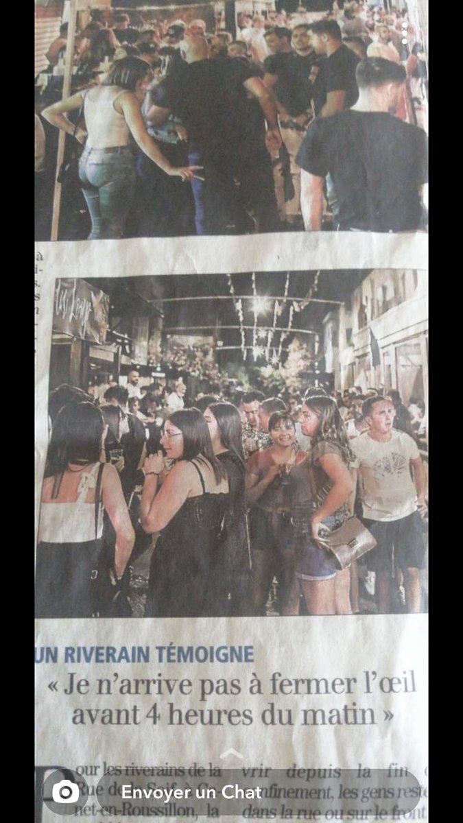 Alice 🦦🦋 tweet media