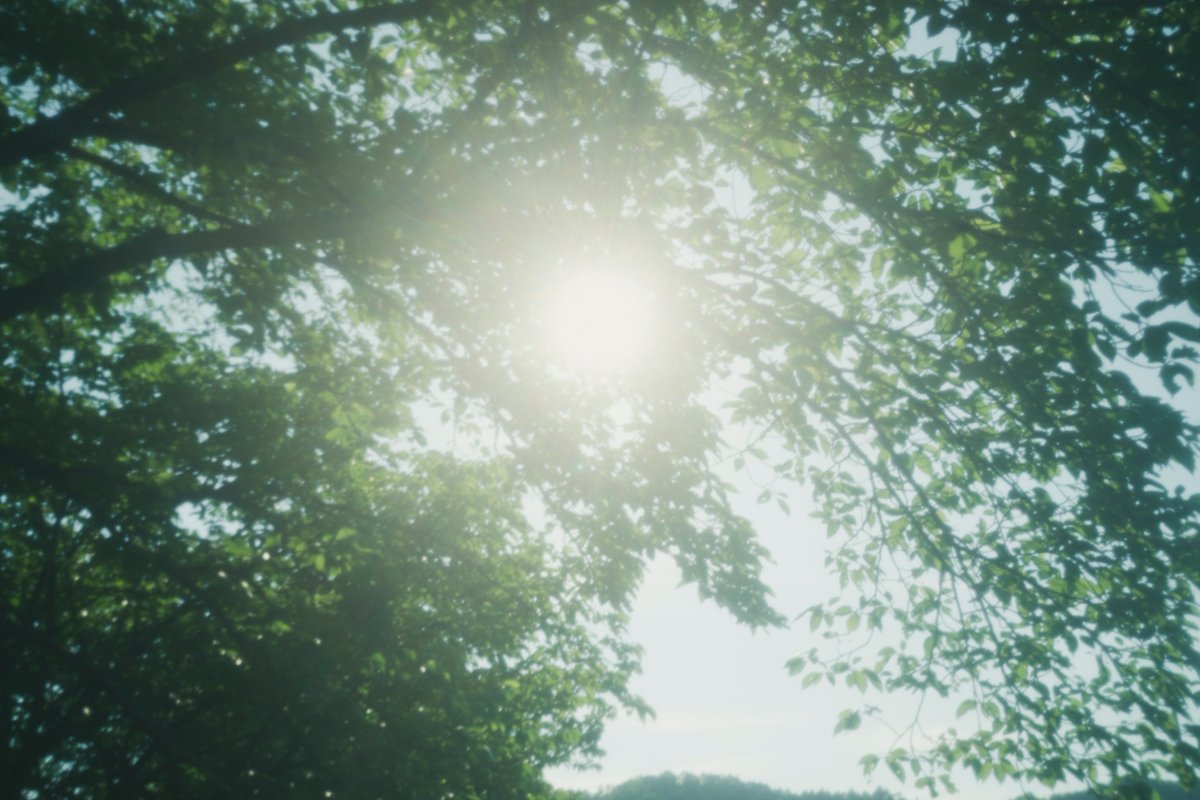 Zuki ズキ 雑談用 ボディキャップレンズのソフトフィルターとクロスフィルターで撮った写真 調整済 仕上げは自作プリセット