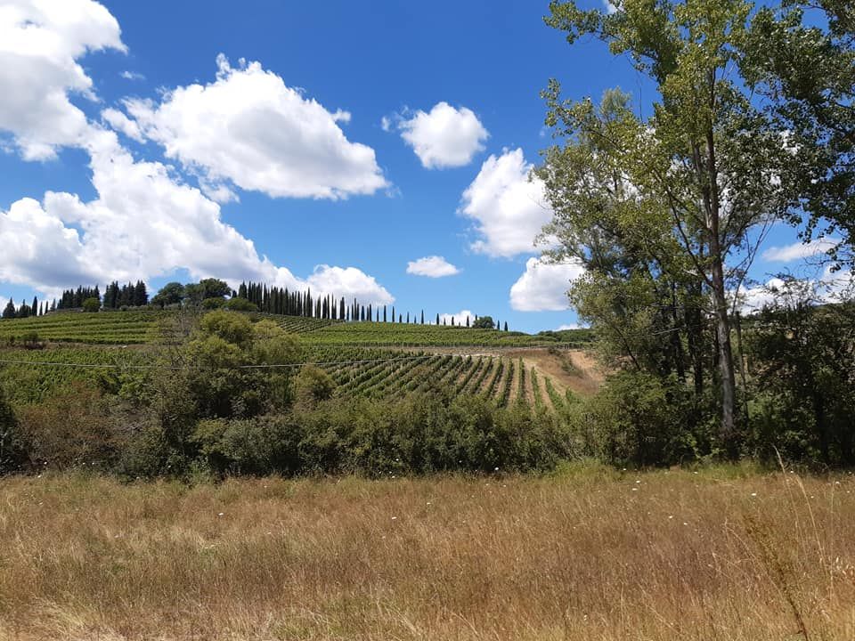 amo_wine's tweet photo. Visit at @tenutailpalagio la tenuta di #Sting & #TrudieStyler Cantina e vigneto a Figline Val d' Arno #WhenWeDance #winelover #musiclover #lovetuscany #tuscany #amowine https://t.co/0Ml9RsrjD4