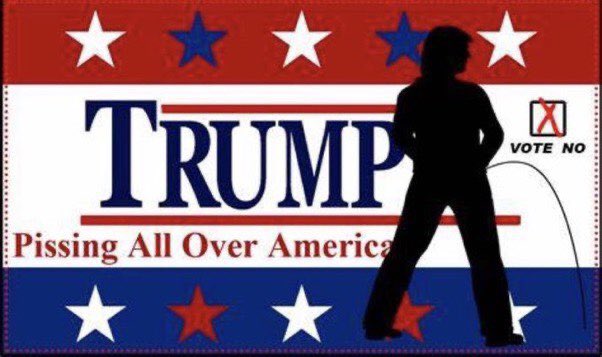 MzzzRMF's tweet photo. @newtgingrich @gop & @realDonaldTrump will be #GoneinNovember https://t.co/10nT1T0XIB