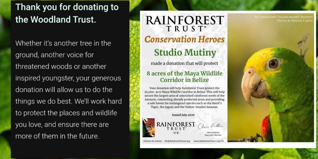 Studio Mutiny tweet media