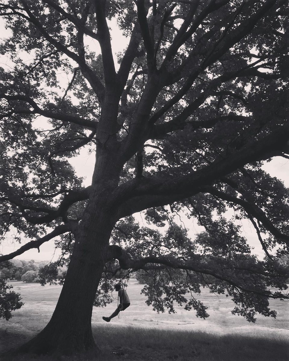 TreesforCities's tweet photo. We loved your entries in our weekly #TFCsnaps photo challenge! The photo prompt was *trees that inspire our imagination* - have a look at the best pics here: https://t.co/Ix9AssesGX
Keep your eyes peeled for our next photo prompt, released every Tuesday! πΈ π https://t.co/IJfD0RyP2U