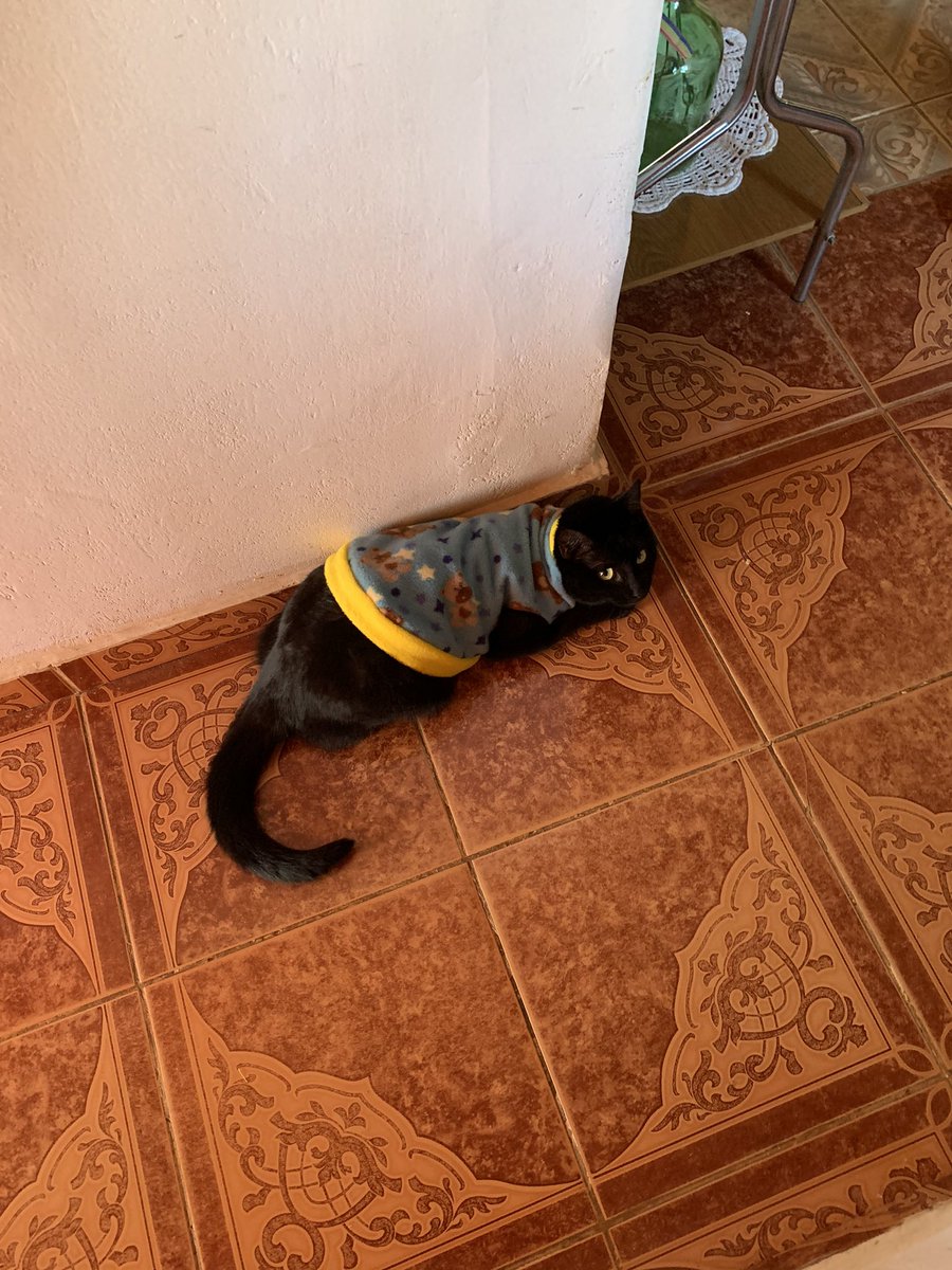 No me gusta mucho andar con ropa 😩😩