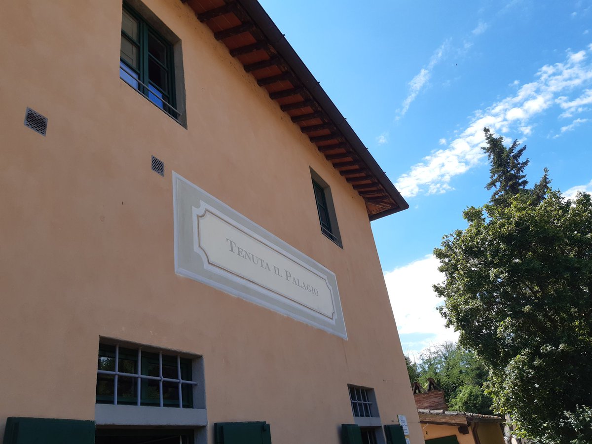 patriziamado's tweet photo. Visit at Tenuta #IlPalagio la Tenuta di #Sting e ##TrudieStyler Cantina e Vigneto a Figline Val d' Arno #WhenweDance #winelover #musiclover #Tuscany https://t.co/jLKYBhmhQJ