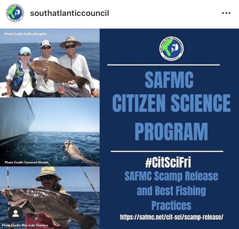 harborlightsw's tweet photo. SCAMP Release helps us track the release and condition of deep sea Grouper! This program helps fishermen like you preserve our fish and our oceans- give it a try! #fishing #harborlightsoftware @SAFMC https://t.co/5gvf652Kbg