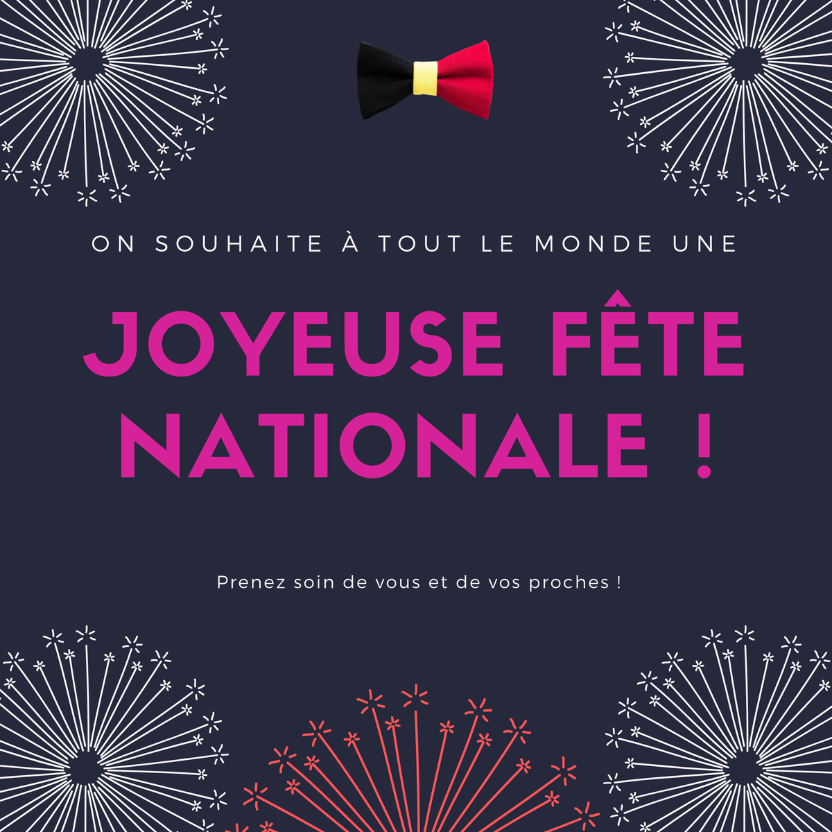 DSchaerbeek's tweet photo. 🇧🇪 Bonne fête nationale à tous et à toutes!! https://t.co/hemNW9WCWT