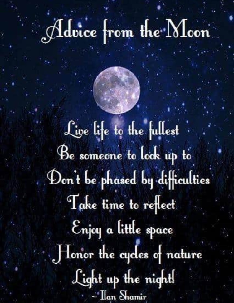 FHMT02339 (@fhmt02339) on Twitter photo 