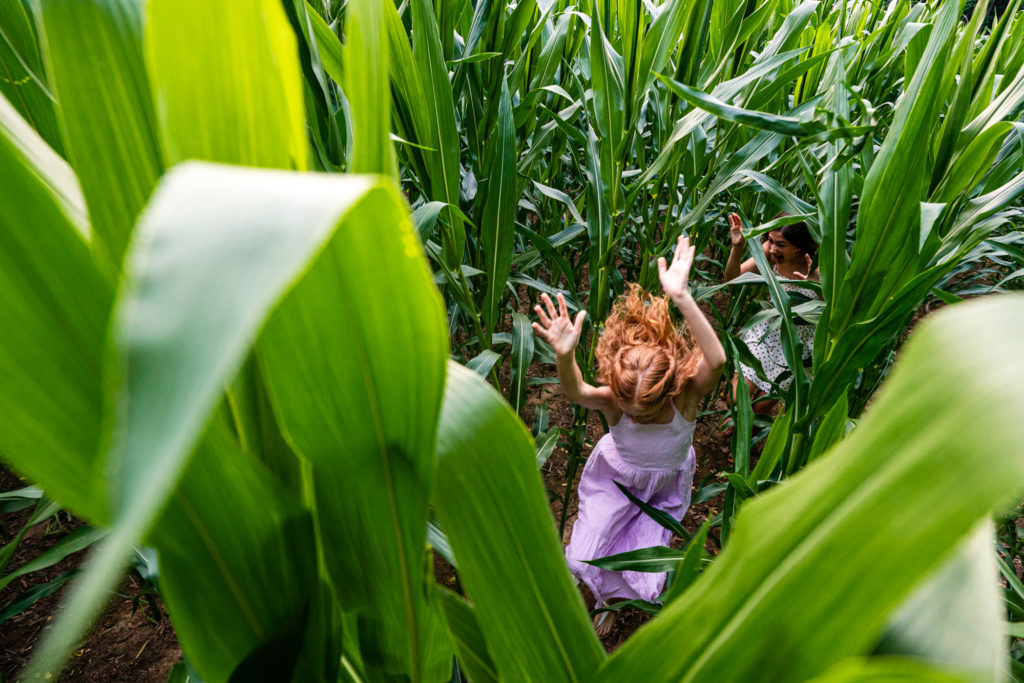 Hoffer Photography tweet media