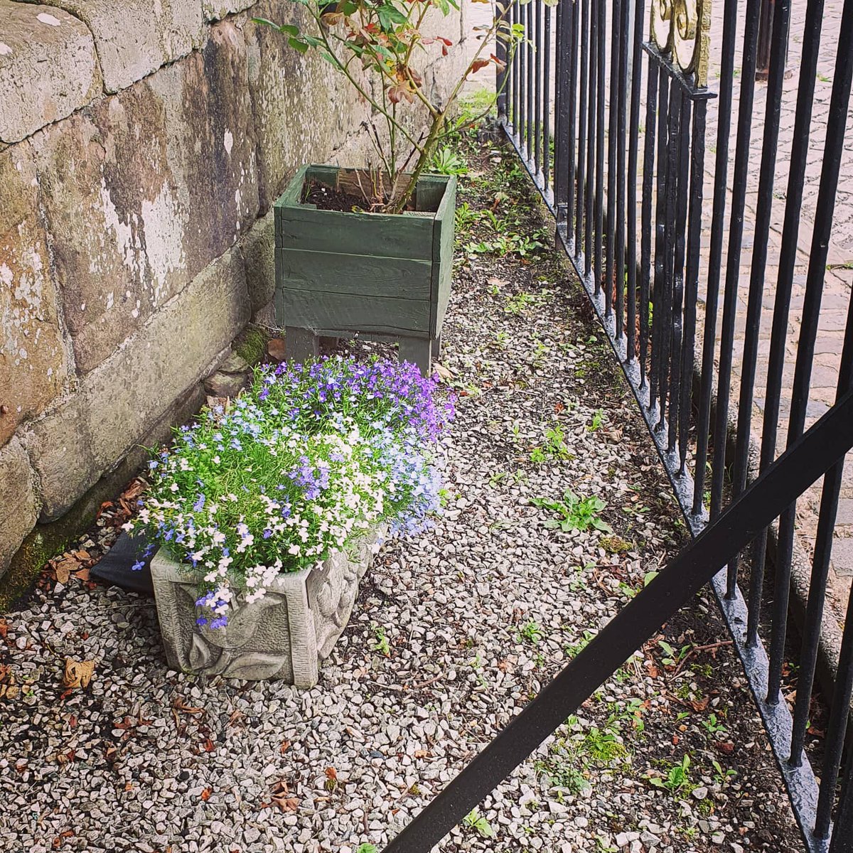 WiStoneclough's tweet photo. Thanks for all the lovely comments and for the lady who offered me a drink. Stocks and bridge done for another month. Next job new gravel.
#STONECLOUGH #Ringley #stocks #StonecloughWI https://t.co/T4TjRttBqL