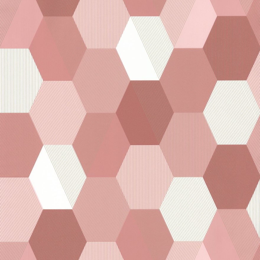 Discount_Decor's tweet photo. Caselio Hexagon - Coral/Pink  a collection of honeycomb inspired hexagons for the perfect geometric style wallpaper | visit discount home https://t.co/hQdAe552T1 | product code - SPA100104144

#wallpapers #caselio #caseliowallpaper #pinkwallpaper #homedecor #homedesign #homeinspo https://t.co/CgwBUisgak