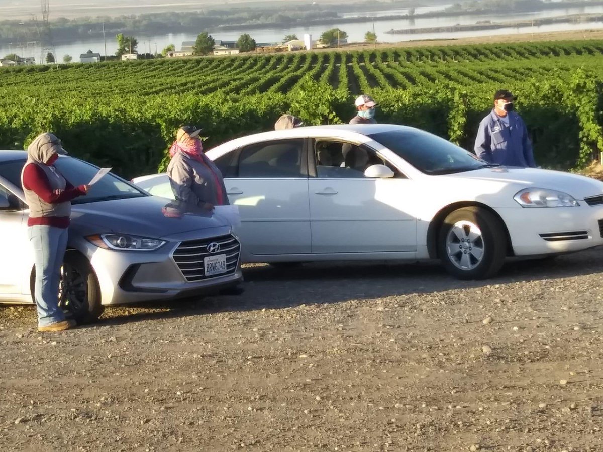 UFWupdates's tweet photo. Hundreds of grape workers across the Yakima Valley stopped work simultaneously this morning, reflecting quietly for 8 minutes and 46 seconds. 

At each worksite, managers stopped with them to hear the UFW statement of solidarity with the @Mvmnt4BlkLives. 

#StrikeForBlackLives https://t.co/UgjvhSJDn0