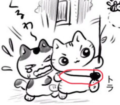 ねこ用通学バッグ 