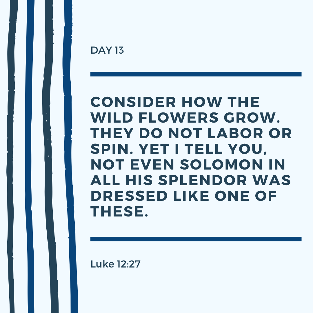 UCatOKSTATE's tweet photo. - Day 13 -
Continue this prayer in your own way asking God to give you perspective of how big he is. Ask him to help you entrust your whole self to him.
"Lord, I know that people's lives are not their own; it is not for them to direct their steps." -- Jeremiah 10:23 https://t.co/vJhpI3gz83