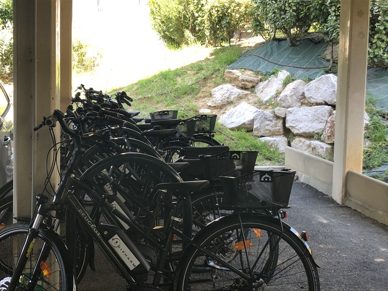 VIGIPHARM's tweet photo. Les vélos électriques sont arrivés !!
https://t.co/8R7RNz6mb8
#PDE #RH #VAE #pharmacovigilance #vigilancessanitaires #Vigipharm https://t.co/uKrtCs9idV