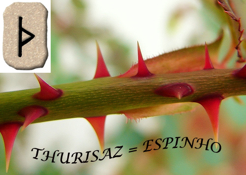 ciganosnaweb's tweet photo. RUNA DA SEMANA - THURISAZ

https://t.co/sPcrbU8BzV

#runas #thurisaz #runadasemana #energiadasemana #runasonline #oraculo #ciganosnaweb #consultas #odin #runasdeodin #cartomantes #esotericos https://t.co/mbPP99vjy8