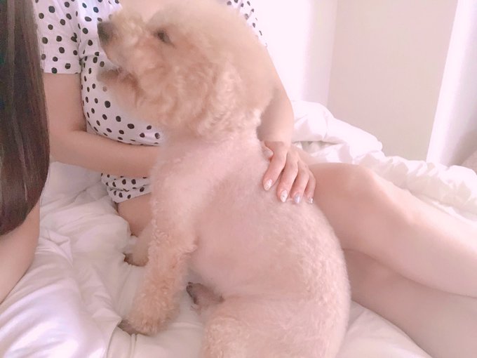 はぁん♡楽しかったぁ♡ 大好きな人と会ったり、話したりするのってほんと幸せ(*&acute;꒳`*) 今日も素敵な1日でした🥰 ご覧あれ！チャチャも歓喜しております😆 https://t.co/WZnCc8FK0