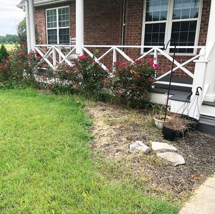 reststopmin's tweet photo. BIG thanks to our friends @connectchurchtn for spending their Saturday Serve Day with us! Their hard-working team made our outdoor spaces look so beautiful! 😍
Swipe for some before-and-afters 👉🏼
#SupportSurvivors #EndSexTrafficking #HopeSees #HopeHeals https://t.co/hVxQuoQ52Q